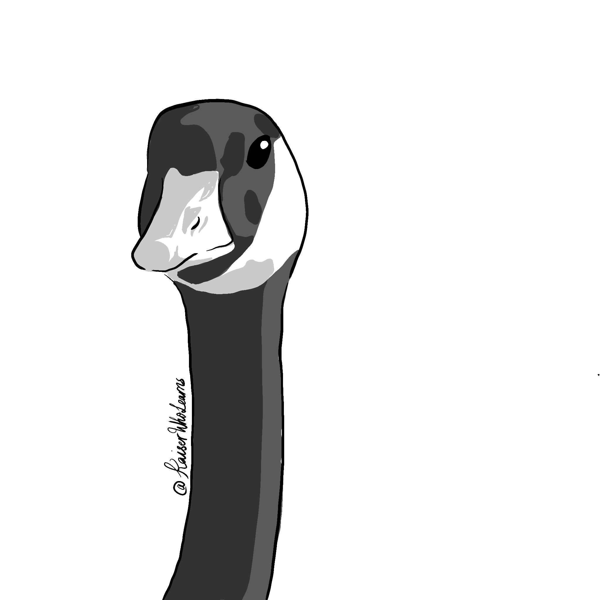 goose